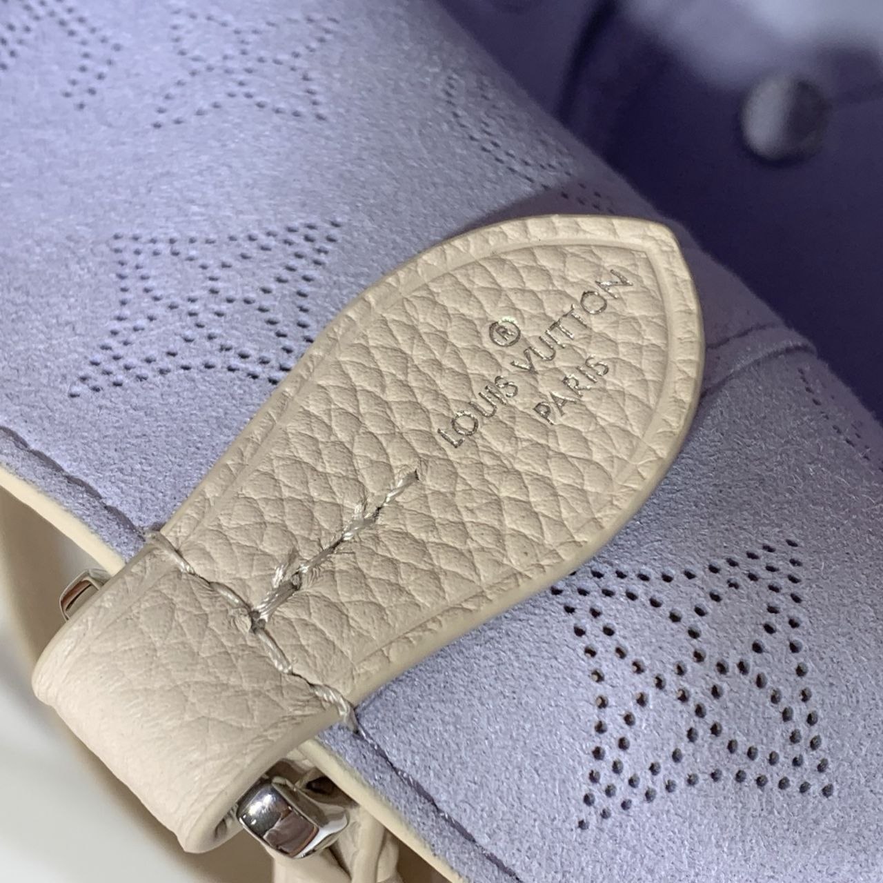 1V Blossom Small Handbag image 8