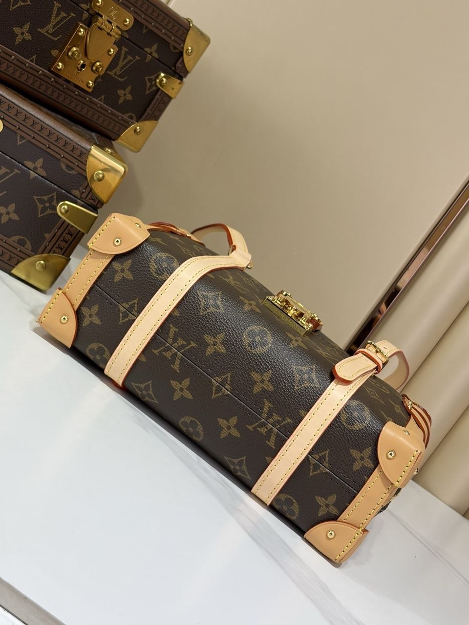 1V Malle de Jour Box Bag