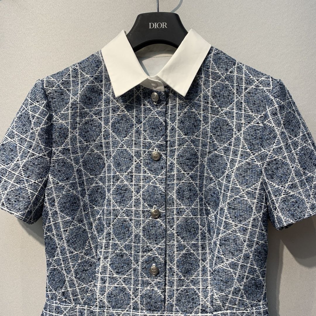 D1or 26SS Blue Check Dress image 2