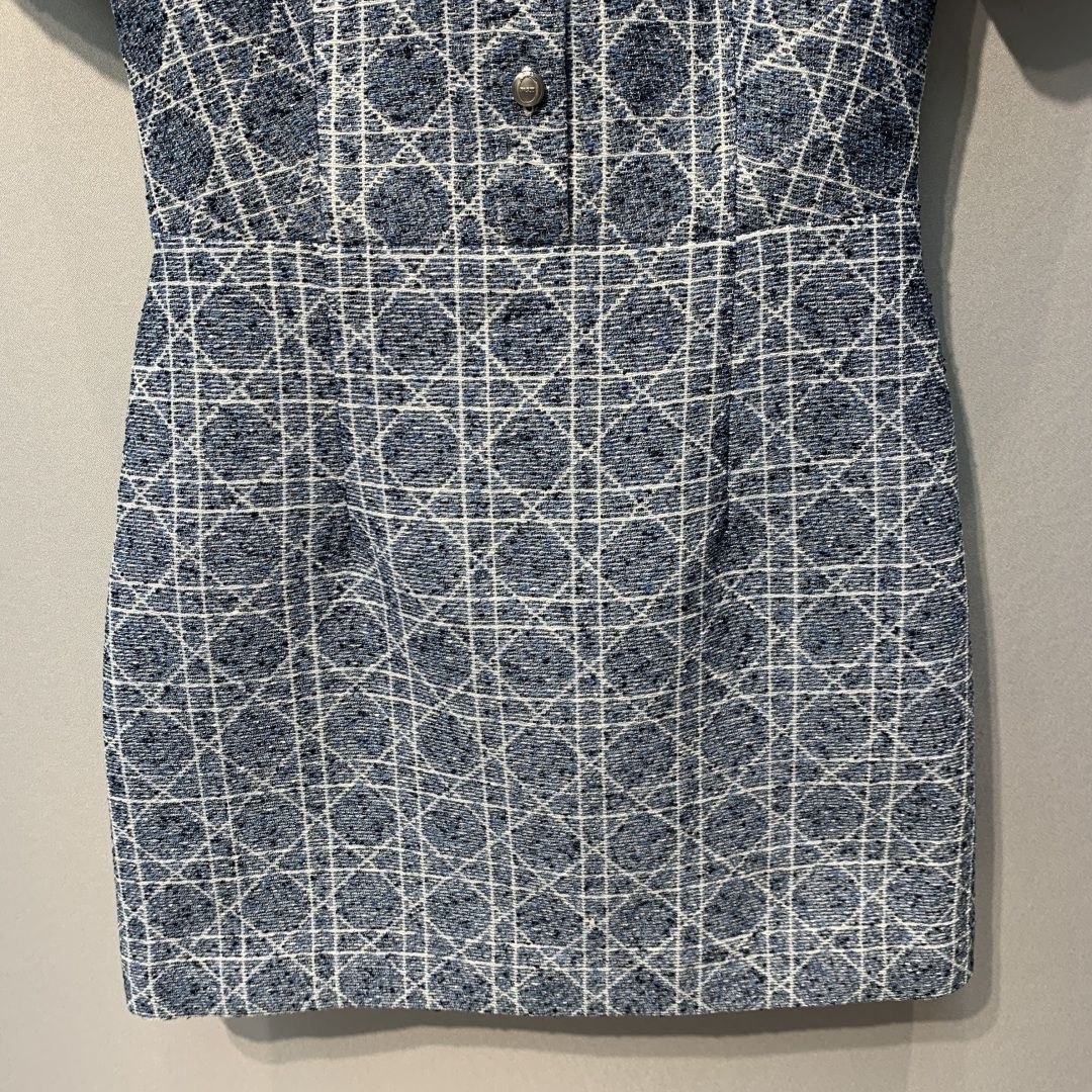 D1or 26SS Blue Check Dress image 5