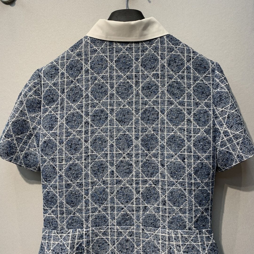 D1or 26SS Blue Check Dress image 7